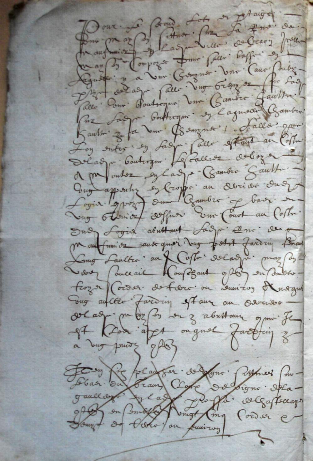 Cohon-F_1619 (4).JPG